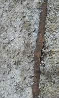sandymount tower 10870.jpg